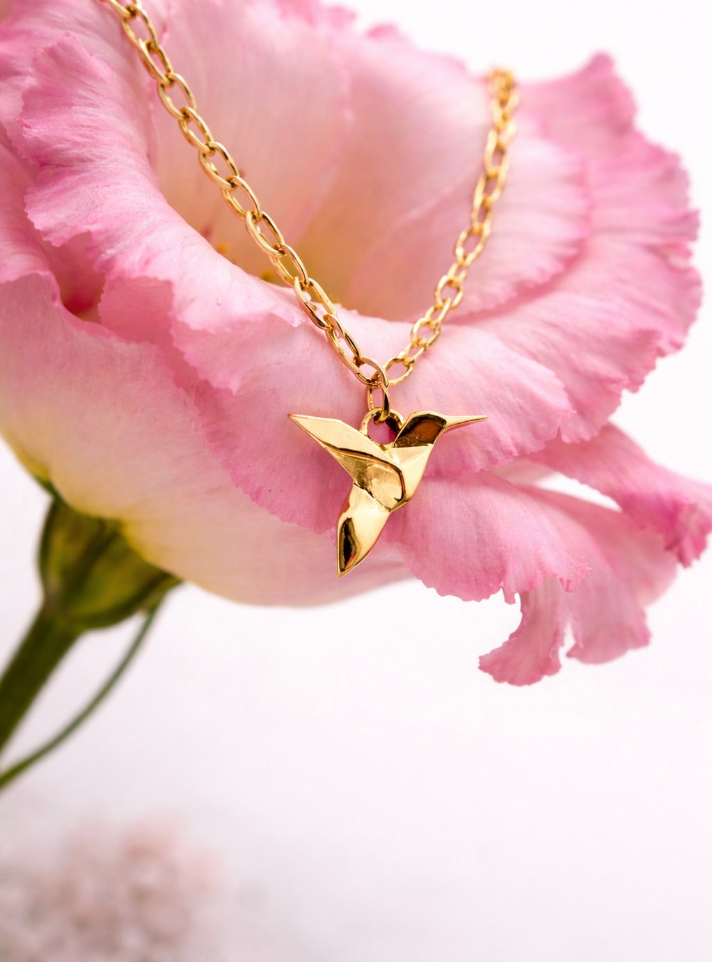 Cadena colibrí