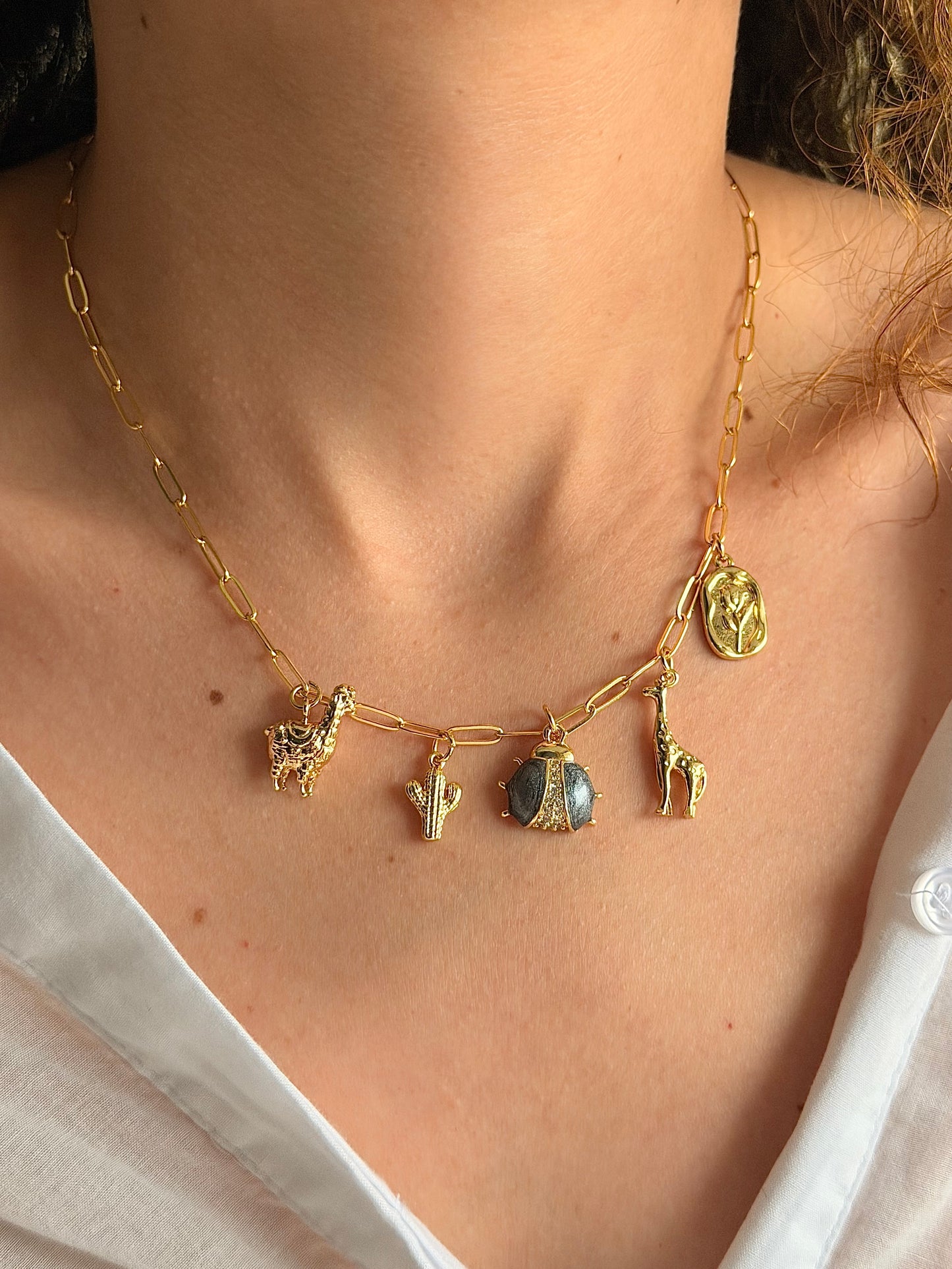 Collar mini charms safari