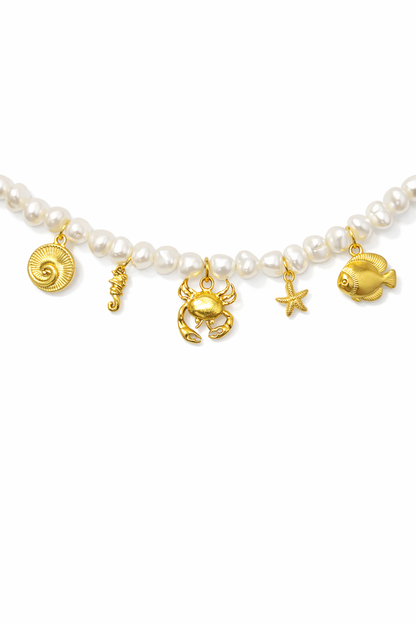 Collar mini charms mar