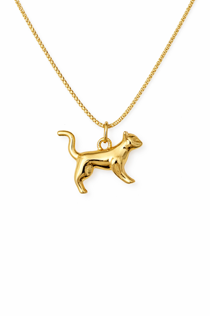 Cadena dije gato