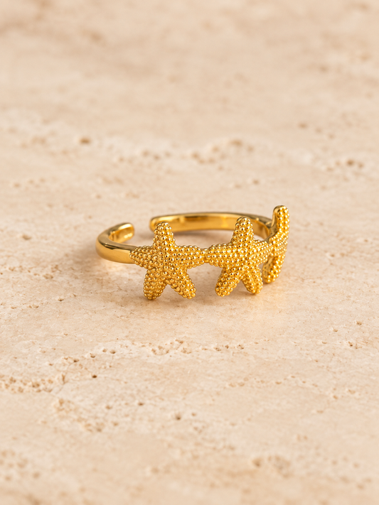 Anillo Baru