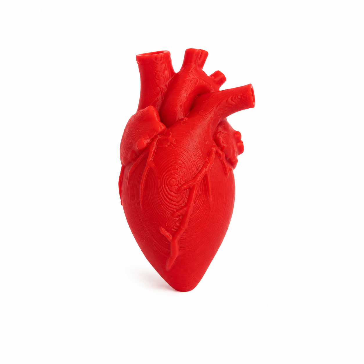 Dije de corazón anatómico