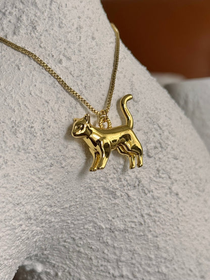 Cadena dije gato