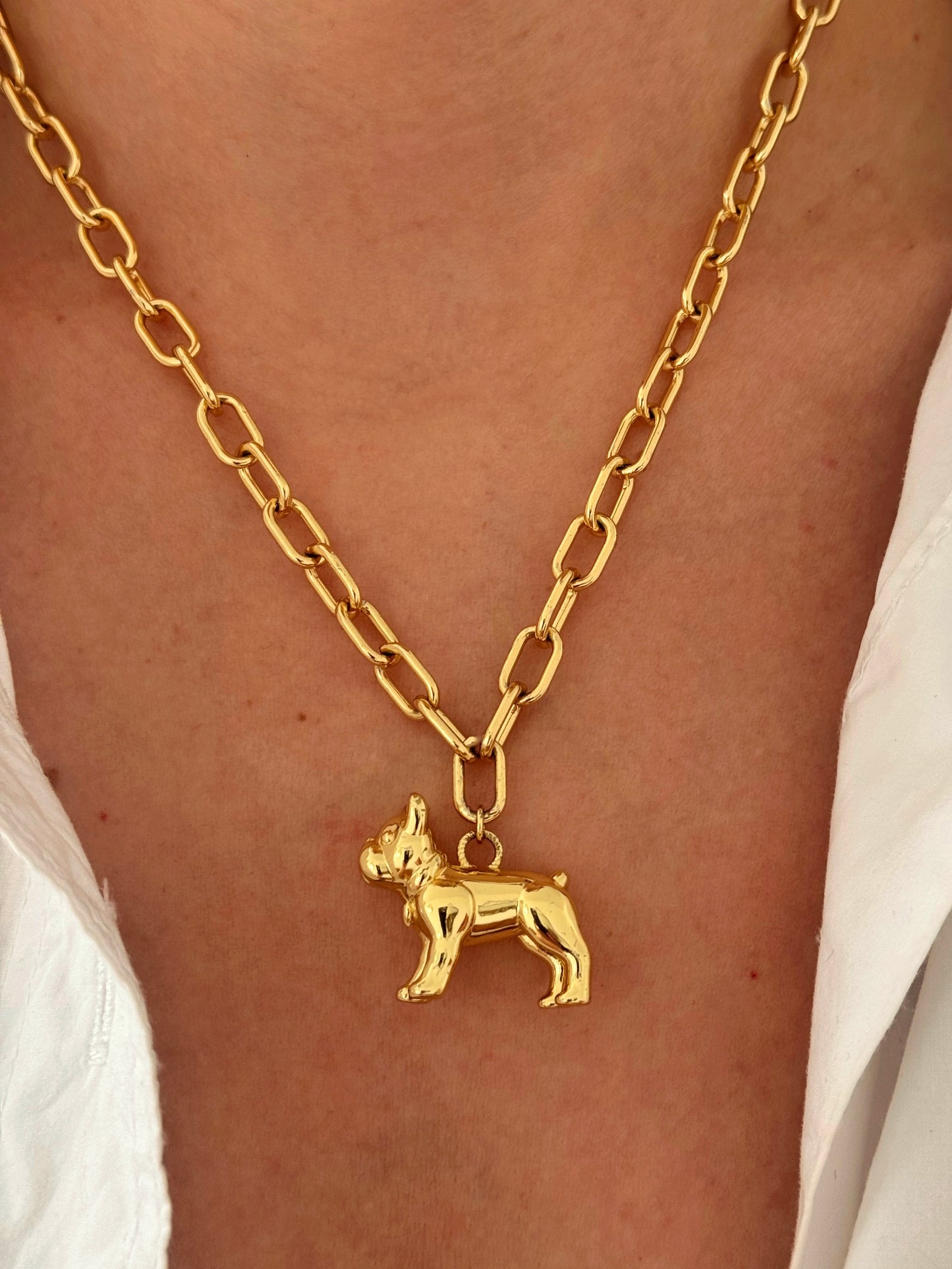 Collar Frenchie dorado