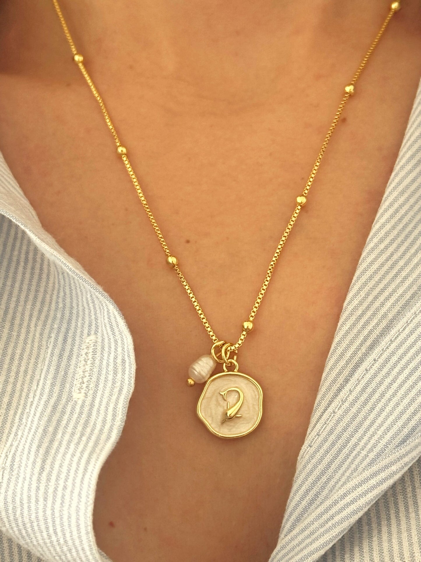 Collar playa Blanca - Delfin